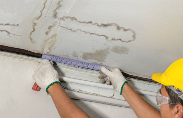 Reliable Mold Remediation contractor in Saratoga, NC by Water Damage Irwin